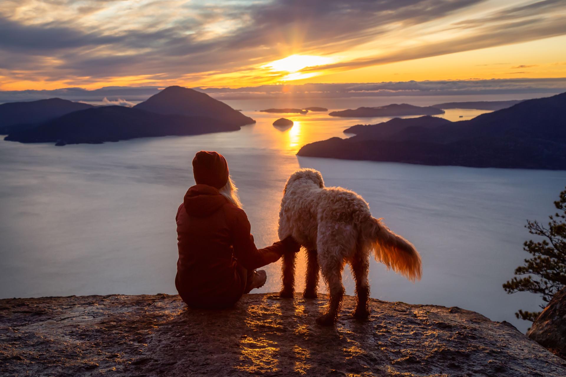 Adventurous Girl Hiking on top of a Mountain with a dog