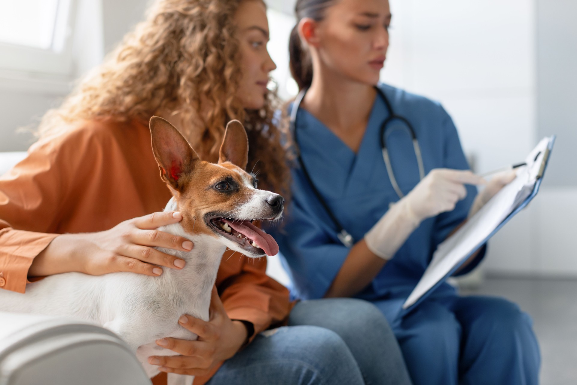 Vet records notes as owner comforts dog